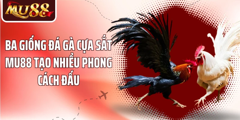 Ba giống đá gà cựa sắt MU88 tạo nhiều phong cách đấu