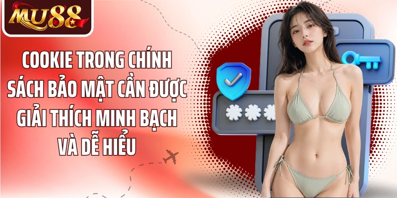 Cookie trong chính sách bảo mật cần được giải thích minh bạch và dễ hiểu