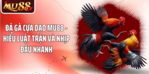 Đá Gà Cựa Dao MU88 - Hiểu Luật Trận Và Nhịp Đấu Nhanh