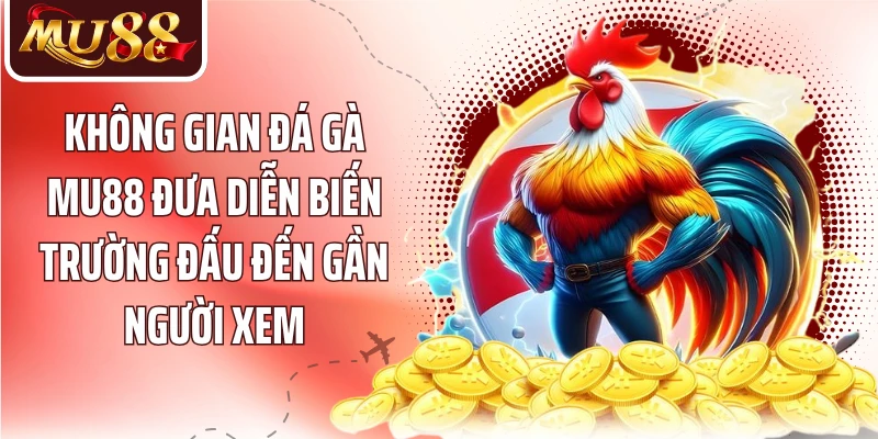 Không gian đá gà MU88 đưa diễn biến trường đấu đến gần người xem