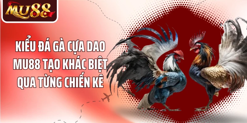 Kiểu đá gà cựa dao MU88 tạo khác biệt qua từng chiến kê