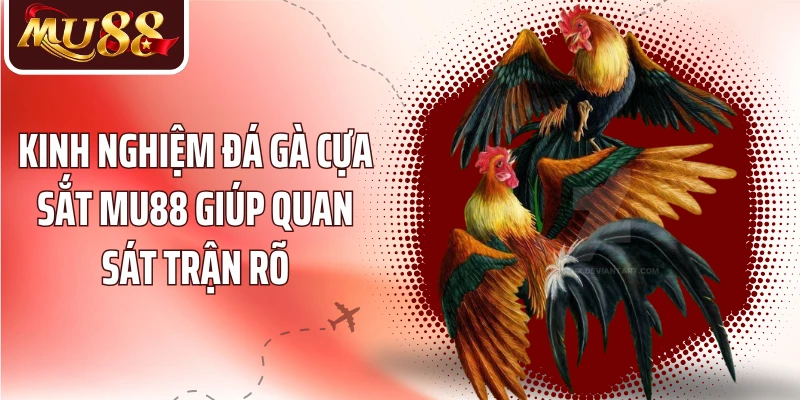 Kinh nghiệm đá gà cựa sắt MU88 quan sát trận rõ