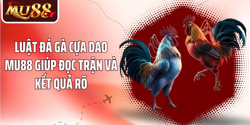 Luật đá gà cựa dao MU88 giúp đọc trận và kết quả rõ
