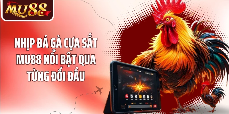 Nhịp đá gà cựa sắt MU88 nổi bật qua từng đối đầu