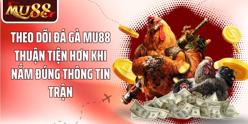 Theo dõi đá gà MU88 thuận tiện hơn khi nắm đúng thông tin trận